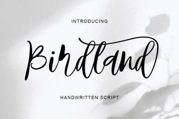 Birdland: A Handwritten Font with Editorial Heart and Romantic Rhythm