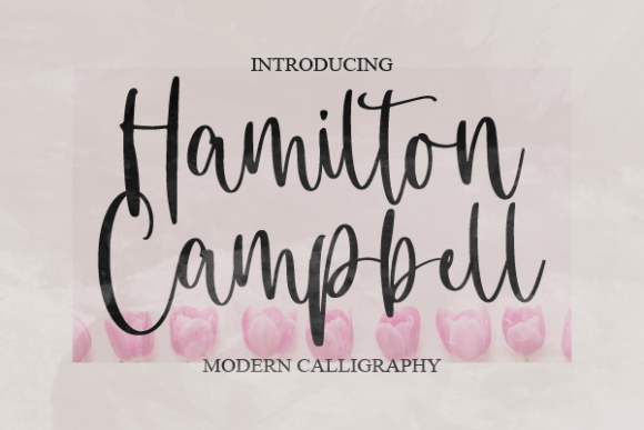 Hamilton Campbell: A Script Typeface for Modern Web Design