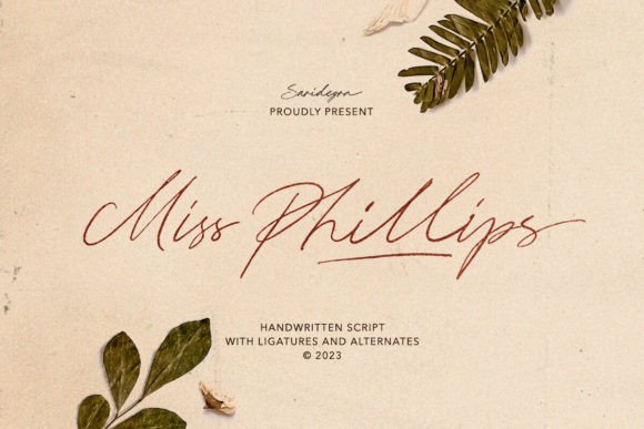 Miss Phillips Font: A Web Designer's Honest Review for Digital Layouts